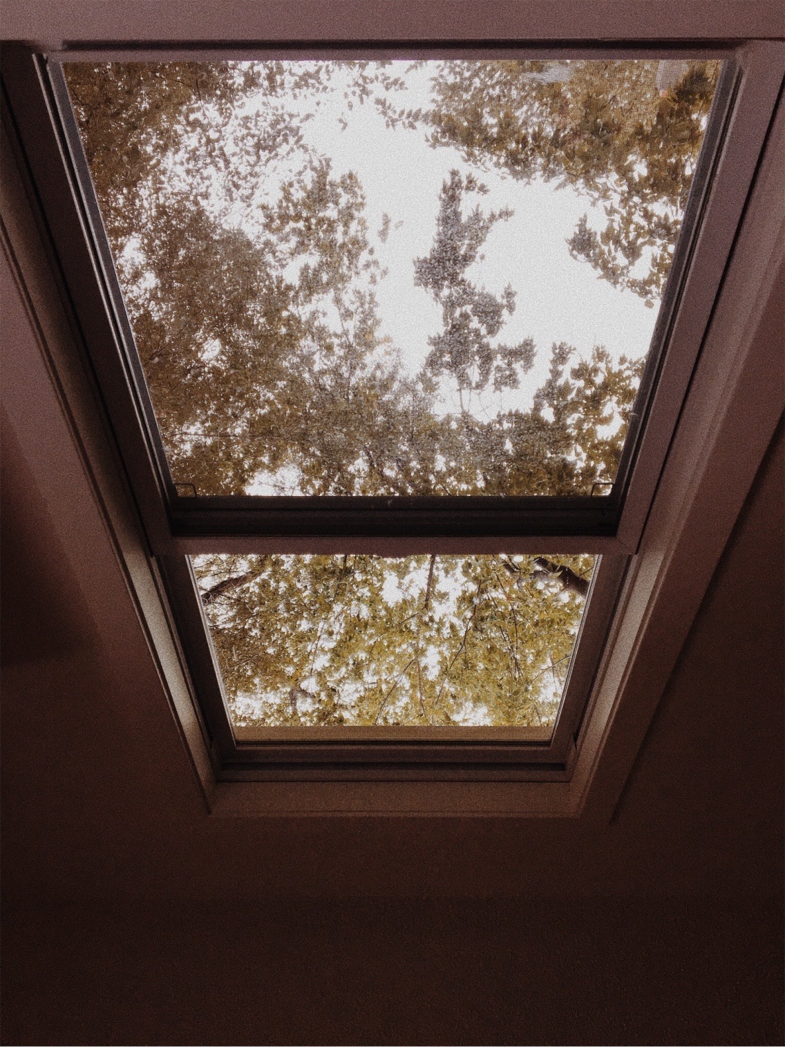 Untitled post 721